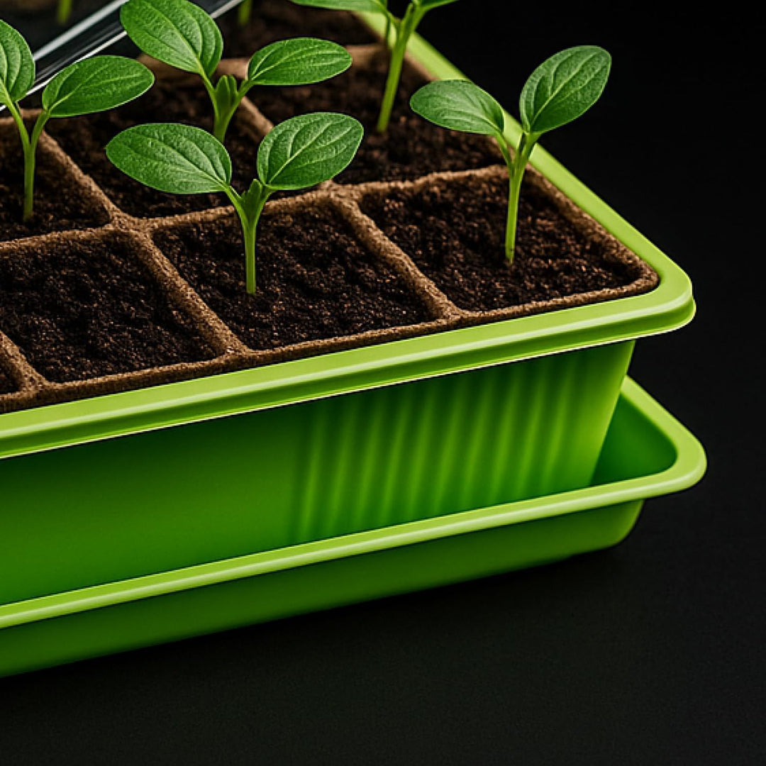 com-four® 6X Zimmergewächshaus zum Anzüchten von Pflanzen, Anzuchtset für 144 Pflanzen, Pflanzkasten