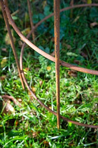 KUHEIGA Blumenhilfe Ø 45cm Rankhilfe Obelisk Rost Höhe: 150 cm Rankgitter