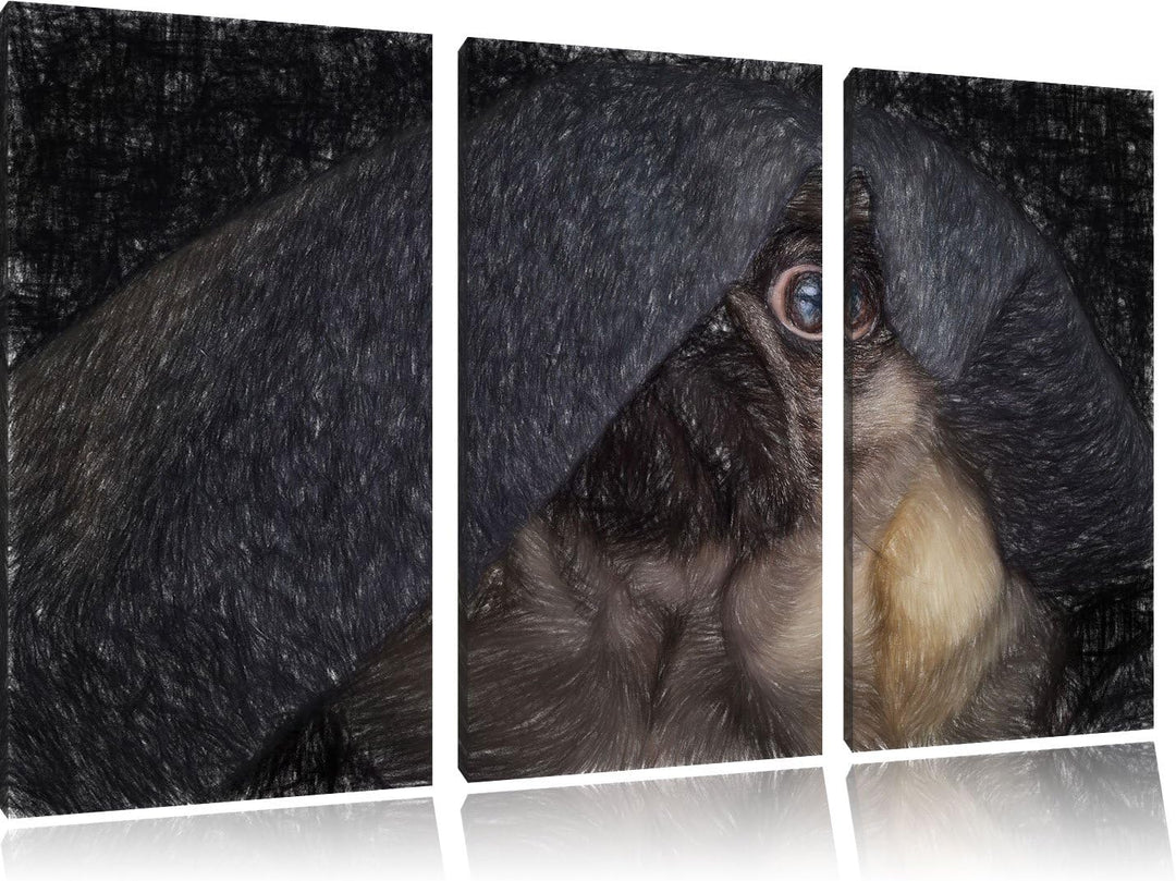 Pixxprint Mops Decke / 3-Teilig/Gesamtmass 120cm Leinwandbild bespannt auf Holzrahmen/Wandbild Kunst