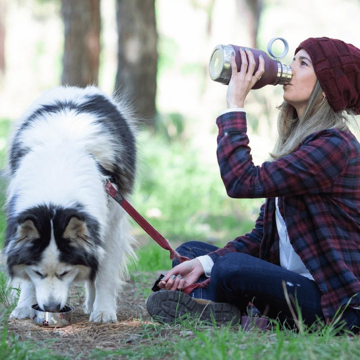 Asobu - Dog Bowl - Edelstahlflasche mit Hundenapf 1 Liter Burgunderrot Burgundy 1 Liter, Burgundy 1