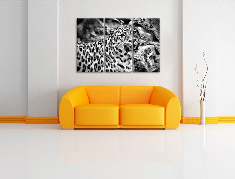 Pixxprint prachtvoller Leopard als Leinwandbild/Grösse: 3 Teilig (120x80) cm/Wandbild/Kunstdruck/fer