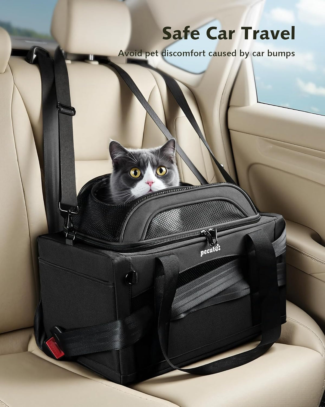 pecute Katzentasche Flugzeug Transporttasche Stabiler Halt Haustier Tragetasche, Transportbox Katze