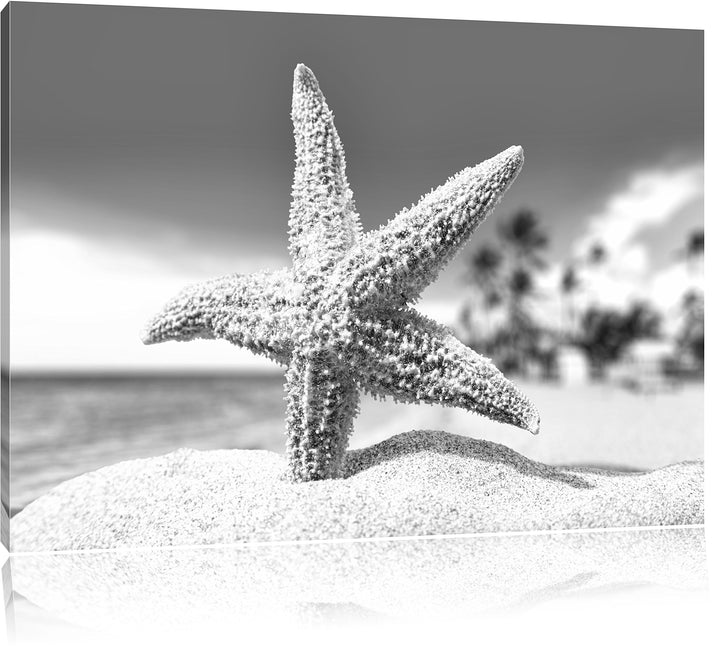 Pixxprint Seestern im Sandstrand von Palm Beach Kunst B&amp;W, Format: 100x70 auf Leinwand, XXL riesige