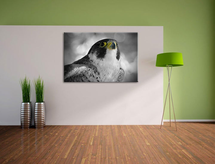 schöner anmutiger Adler schwarz/weiss auf Leinwand, XXL riesige Bilder fertig gerahmt mit Keilrahmen