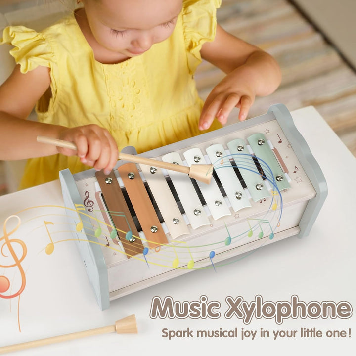 DINORUN Montessori Spielzeug ab 1 Jahr, Hammerspiel Holzspielzeug Motorikspielzeug, Xylophon Kinder