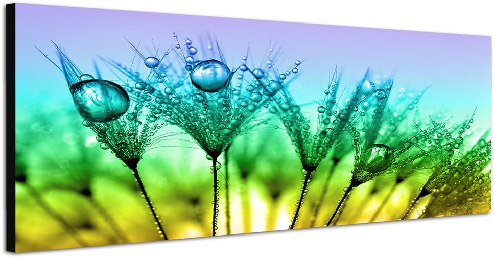 Paul Sinus Art Panoramabild auf Leinwand und Keilrahmen 150x50cm Pusteblumen Löwenzahn Wassertropfen