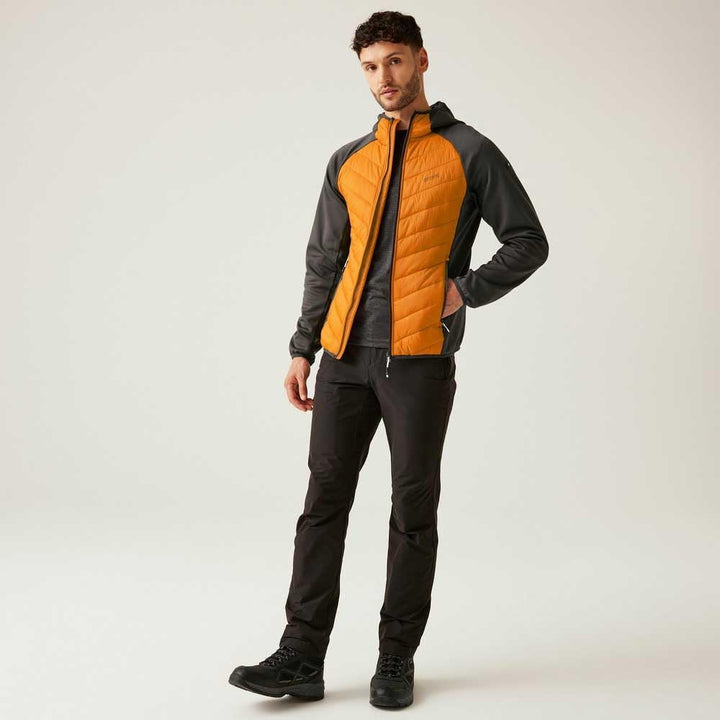 Regatta Damen Regatta Andreson Viii Hybridjacke für Damen Insulated Jacket L Fox/Ash, L Fox/Ash