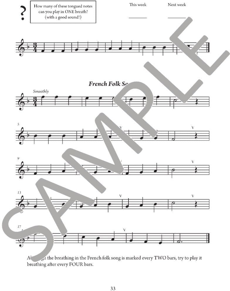 The Young Flute Player Book 1
