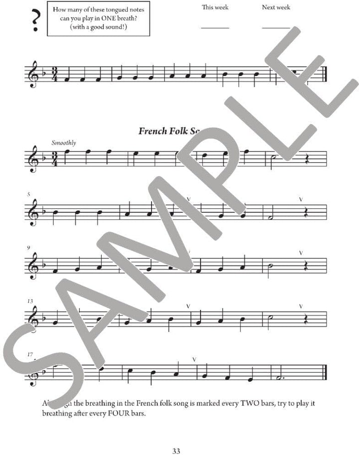 The Young Flute Player Book 1