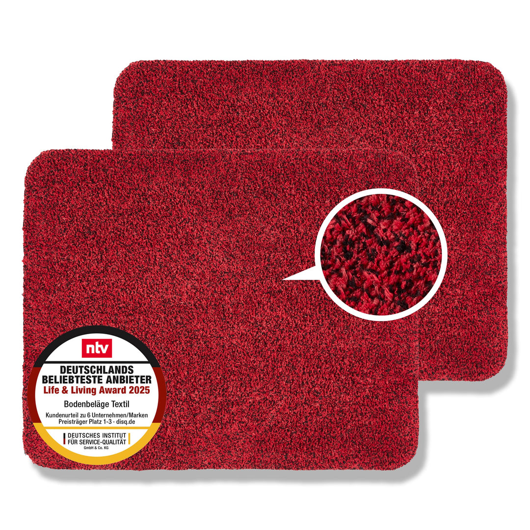 Astra Fussmatte innen waschbar 2er Set 60x75 cm - Schmutzfangmatte Sauberlaufmatte - Fussabstreifer