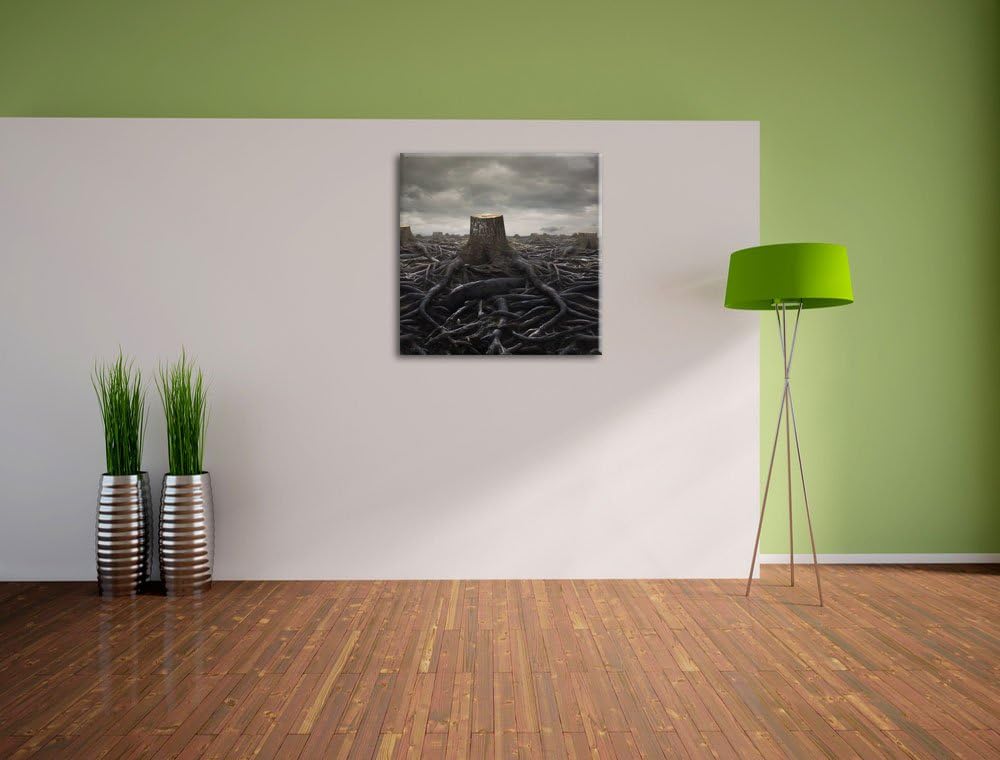 Pixxprint Gerodeter Wald, Format: 70x70 auf Leinwand, XXL riesige Bilder fertig gerahmt mit Keilrahm