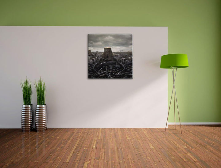 Pixxprint Gerodeter Wald, Format: 70x70 auf Leinwand, XXL riesige Bilder fertig gerahmt mit Keilrahm