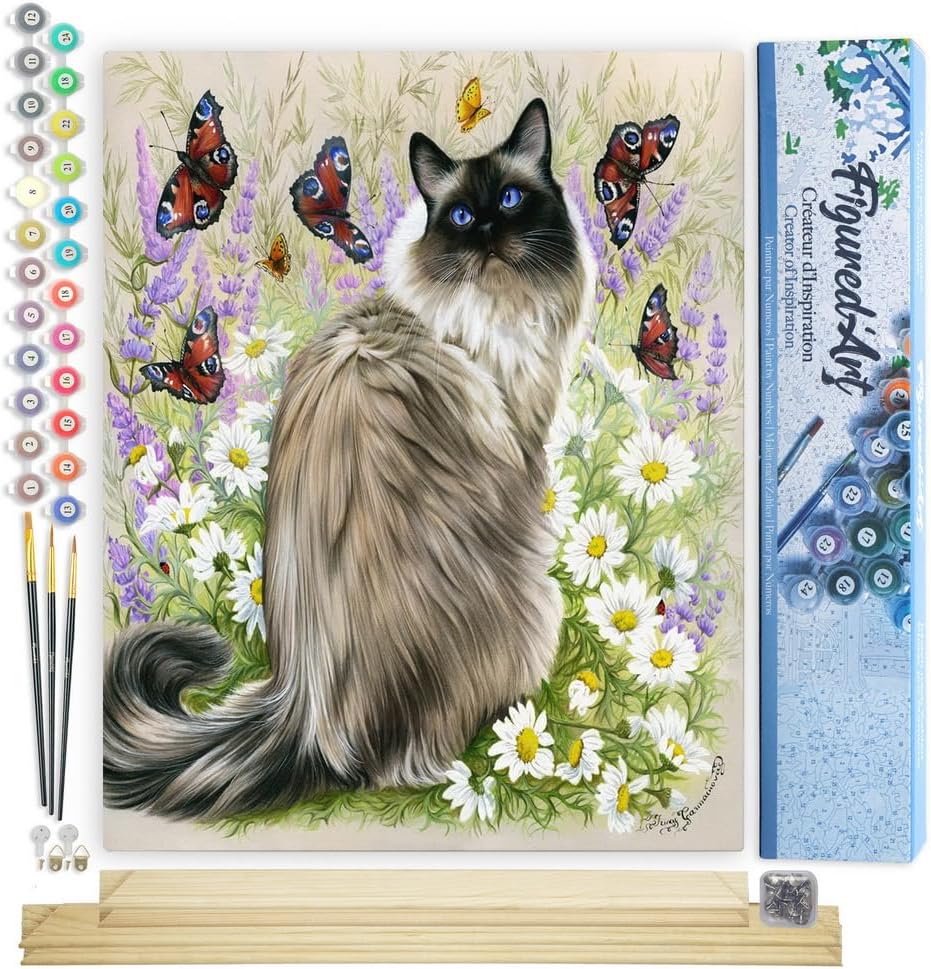 Figured'Art Malen Nach Zahlen Erwachsene Mit Rahmen Katze und Schmetterlinge - Paint by Numbers Bast