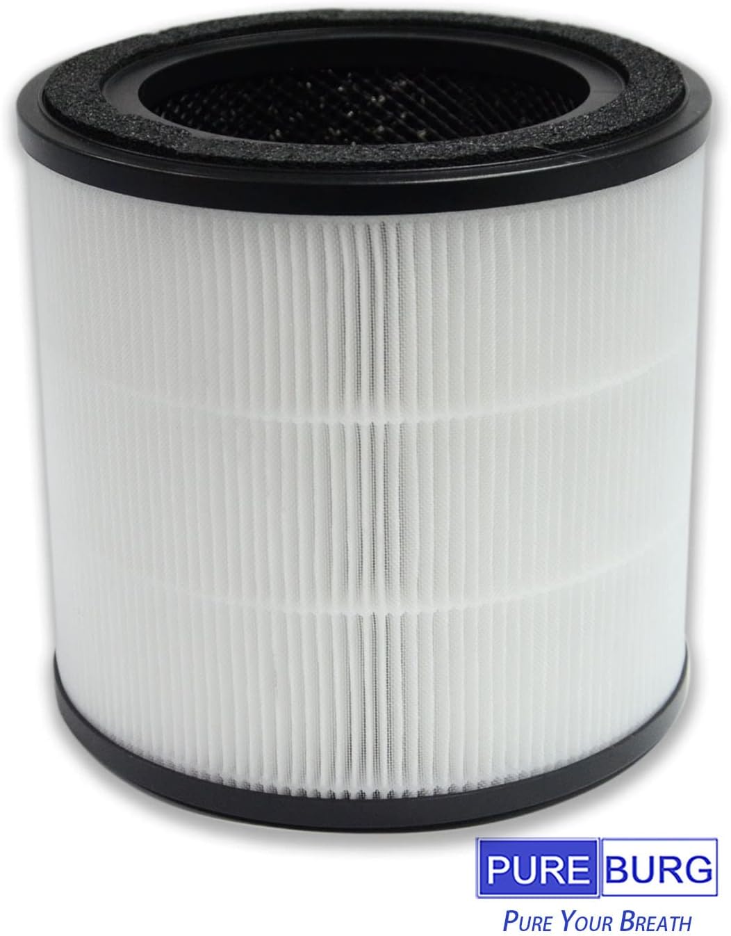 PUREBURG Ersatzfilter Kompatibel mit AEG PURE 5000 &amp; AX3 und Electrolux Flow A3 A3UV Luftreiniger,H1