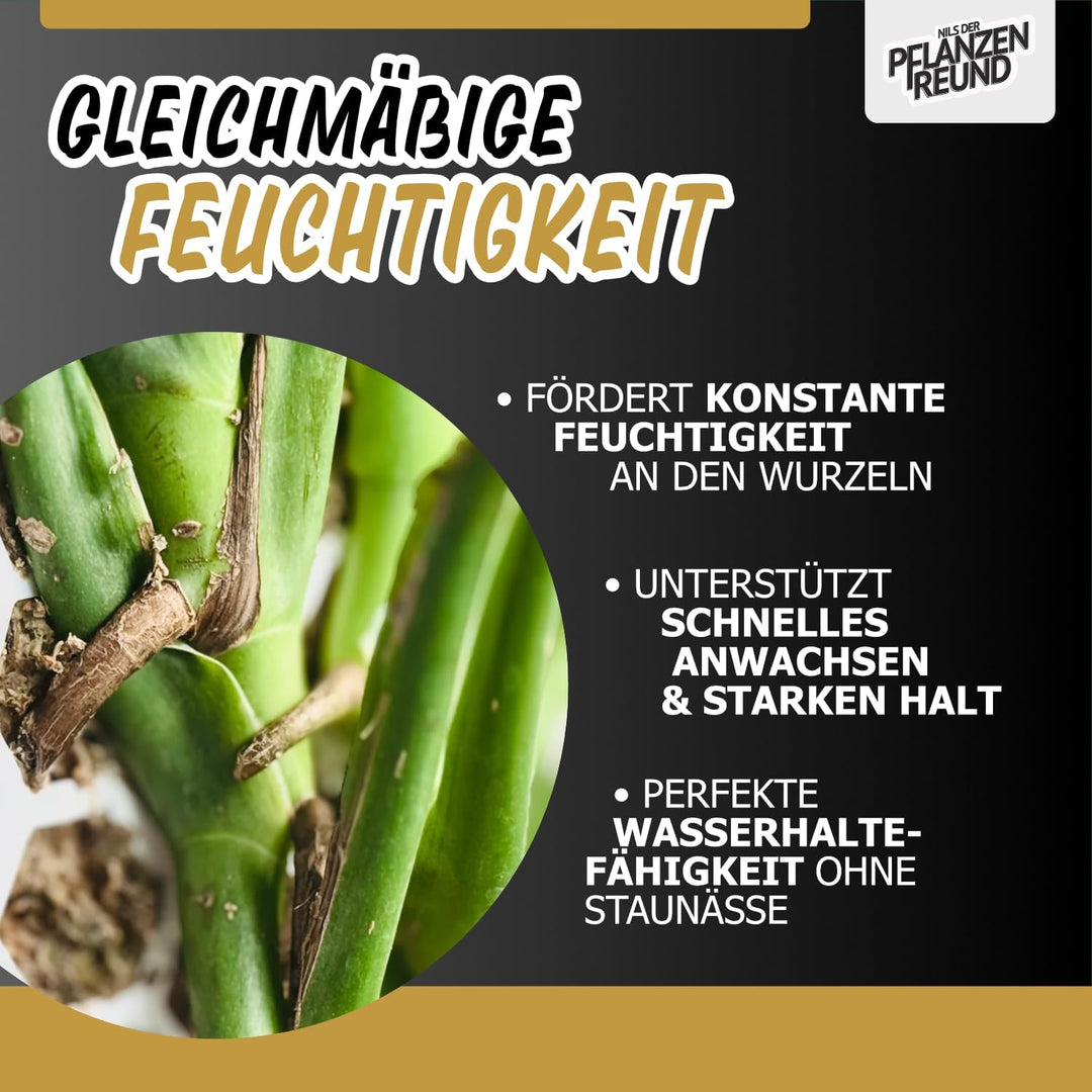 Nils der Pflanzenfreund® Moosstab [PlantScraper] 35 cm (M) / 3 Stück/Matt | Pflanzenstab | Moss Pole