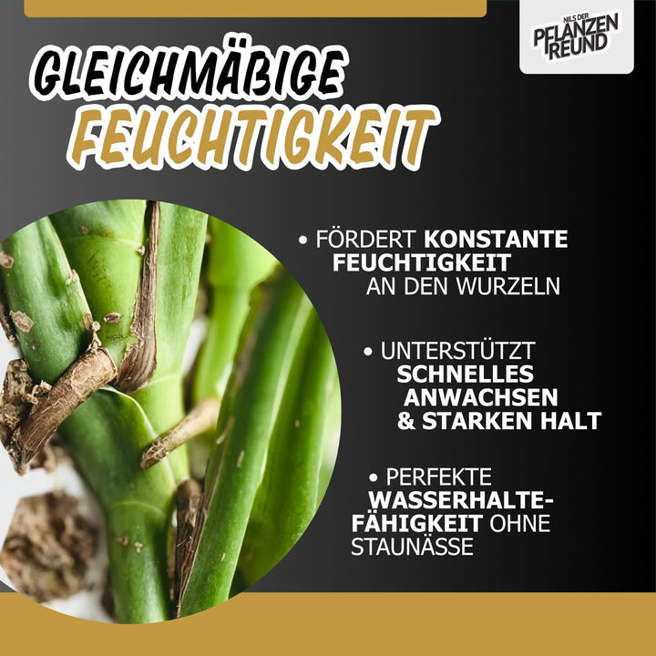 Nils der Pflanzenfreund® Moosstab [PlantScraper] 35 cm (M) / 3 Stück/Matt | Pflanzenstab | Moss Pole