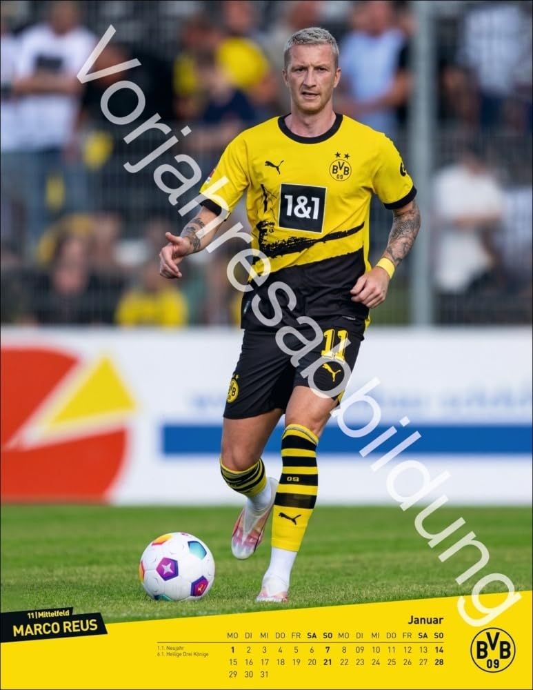 BVB Posterkalender 2025: Jahres-Wandkalender 2025 für Fussballfans. Fotokalender mit den Stars von B