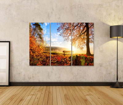 Bild Bilder auf Leinwand Herbstlandschaft mit der Sonne, die warm eine Bank unter einem Baum, vielen