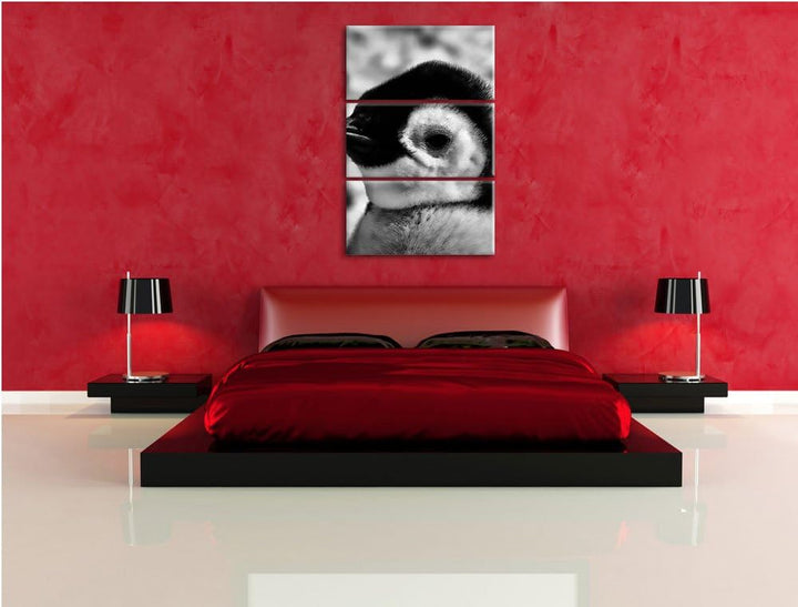 Pixxprint DREI Kaiserpinguin-Küken als Leinwandbild/Grösse: 3 Teilig (120x80) cm/Wandbild/Kunstdruck