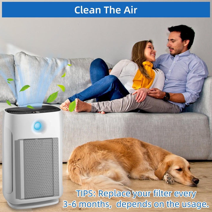 Luftreiniger Filter kompatibel mit Philips 2000 und 3000 Series, H13 True HEPA Ersatzfilter für Phil