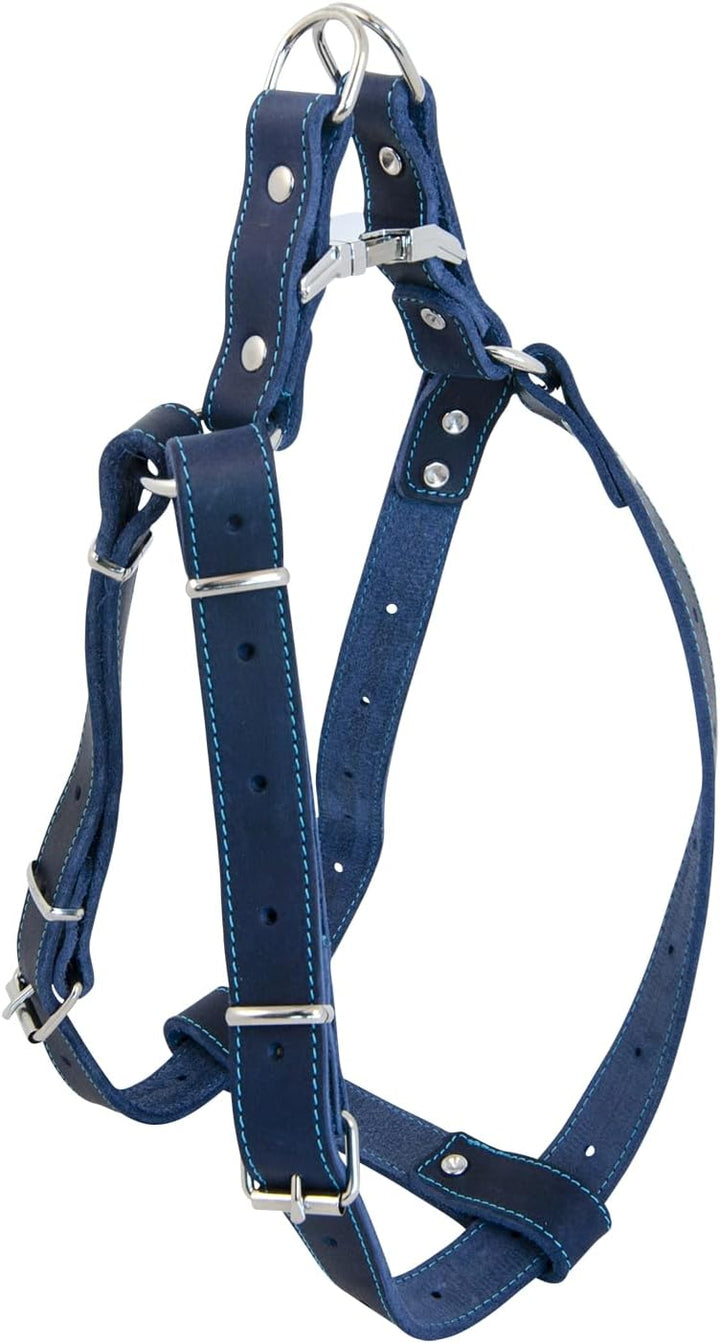 JACK AND VANILLA, Robustes Ledergeschirr für Hunde, individuelle Passform 40–60 cm, Blaue Farbe, opt