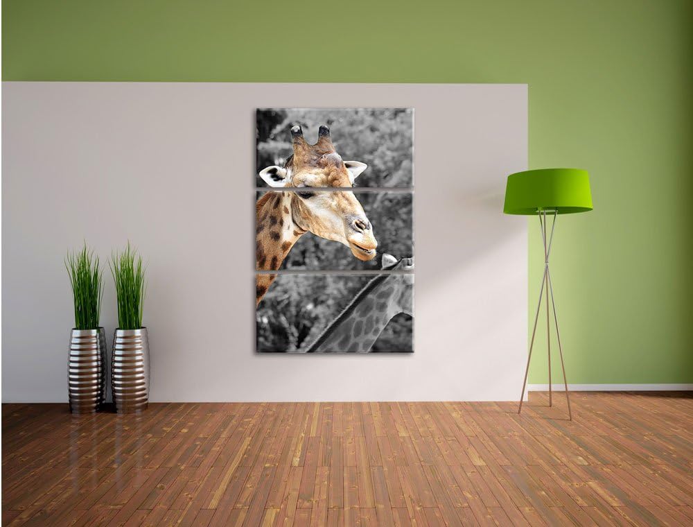 Pixxprint Zwei schöne Giraffen schwarz/weiss als Leinwandbild/Grösse: 3 Teilig (120x80) cm/Wandbild/