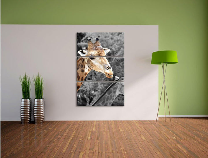 Pixxprint Zwei schöne Giraffen schwarz/weiss als Leinwandbild/Grösse: 3 Teilig (120x80) cm/Wandbild/