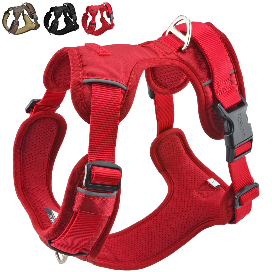 funPETic Hundegeschirr Essential - Anti-Zug Geschirr, reflektierend, gepolstert und atmungsaktiv - B
