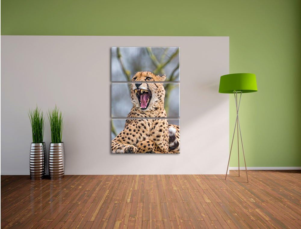 Pixxprint Gepard gähnt als Leinwandbild/Grösse: 3 Teilig (120x80) cm/Wandbild/Kunstdruck/fertig besp