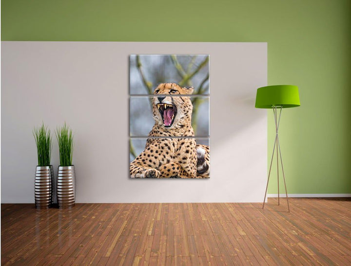Pixxprint Gepard gähnt als Leinwandbild/Grösse: 3 Teilig (120x80) cm/Wandbild/Kunstdruck/fertig besp
