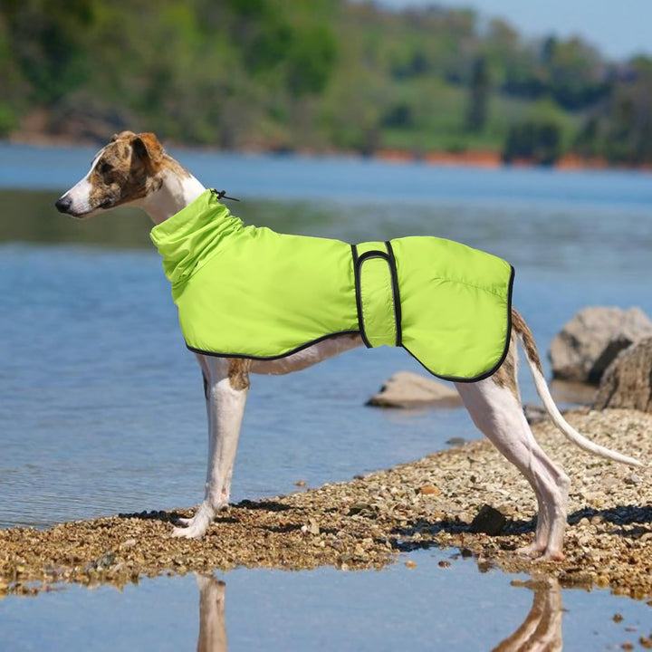 MOREZI Hunderegenmantel mit Stehkragen, Wasser- und Winddicht, mit reflektierenden Streifen und Vers
