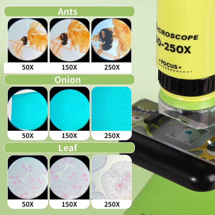 Todeco Mikroskop für Kinder, 50x-250x Taschenmikroskop, Benchtop Handmikroskop 2-in-1 mit Einstellba