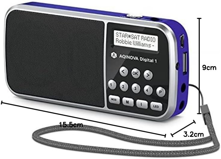 AQINOVA Digital 1 – portables DAB+/UKW Radio (LCD-Display, Favoritenspeicher, Direktwahltasten, Kopf