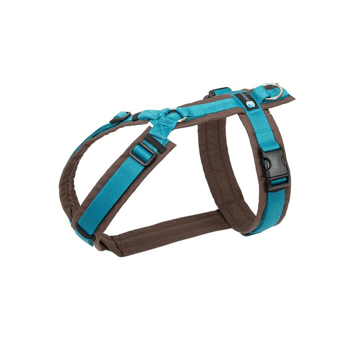 Anny-X Brustgeschirr Fun Braun-Petrol | Hundegeschirr Grösse XS-Lang (Brustumfang 43-52 cm), XS-Lang