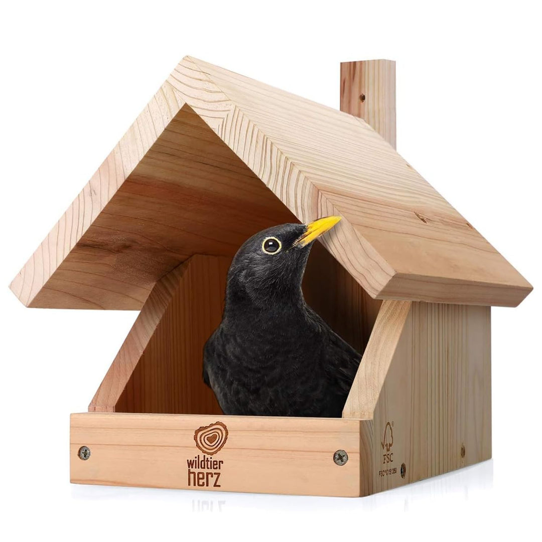wildtier herz I Amsel Nistkasten aus verschraubtem Massiv-Holz - Wetterfest &amp; Unbehandelt, Vogelhaus