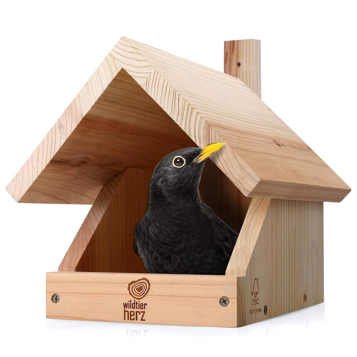 wildtier herz I Amsel Nistkasten aus verschraubtem Massiv-Holz - Wetterfest &amp; Unbehandelt, Vogelhaus