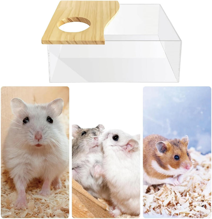 Haustier Hamster Badezimmer, Acryl Hamster Badebox, Sandbad Box für Chinchilla, Goldene Bären, Gerbi