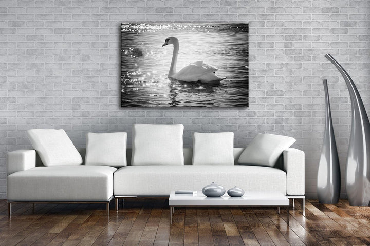 deyoli eleganter Schwan Format: 80x60 Effekt: Schwarz/Weiss als Leinwand, Motiv fertig gerahmt auf E