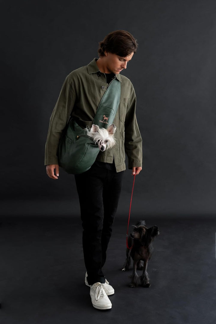 Noah &amp; Paw Hundetragetasche für Kleine Hunde bis 10kg, Hundetasche mit Verstellbarem Schultergurt, u
