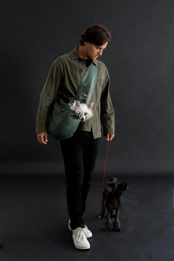 Noah &amp; Paw Hundetragetasche für Kleine Hunde bis 5kg, Hundetasche mit Verstellbarem Schultergurt, un