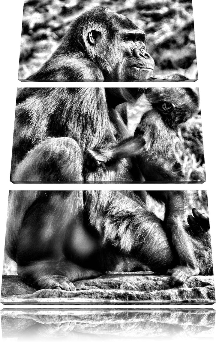 Pixxprint Gorilla-Baby küsst Seine Mutter als Leinwandbild/Grösse: 3 Teilig (120x80) cm/Wandbild/Kun