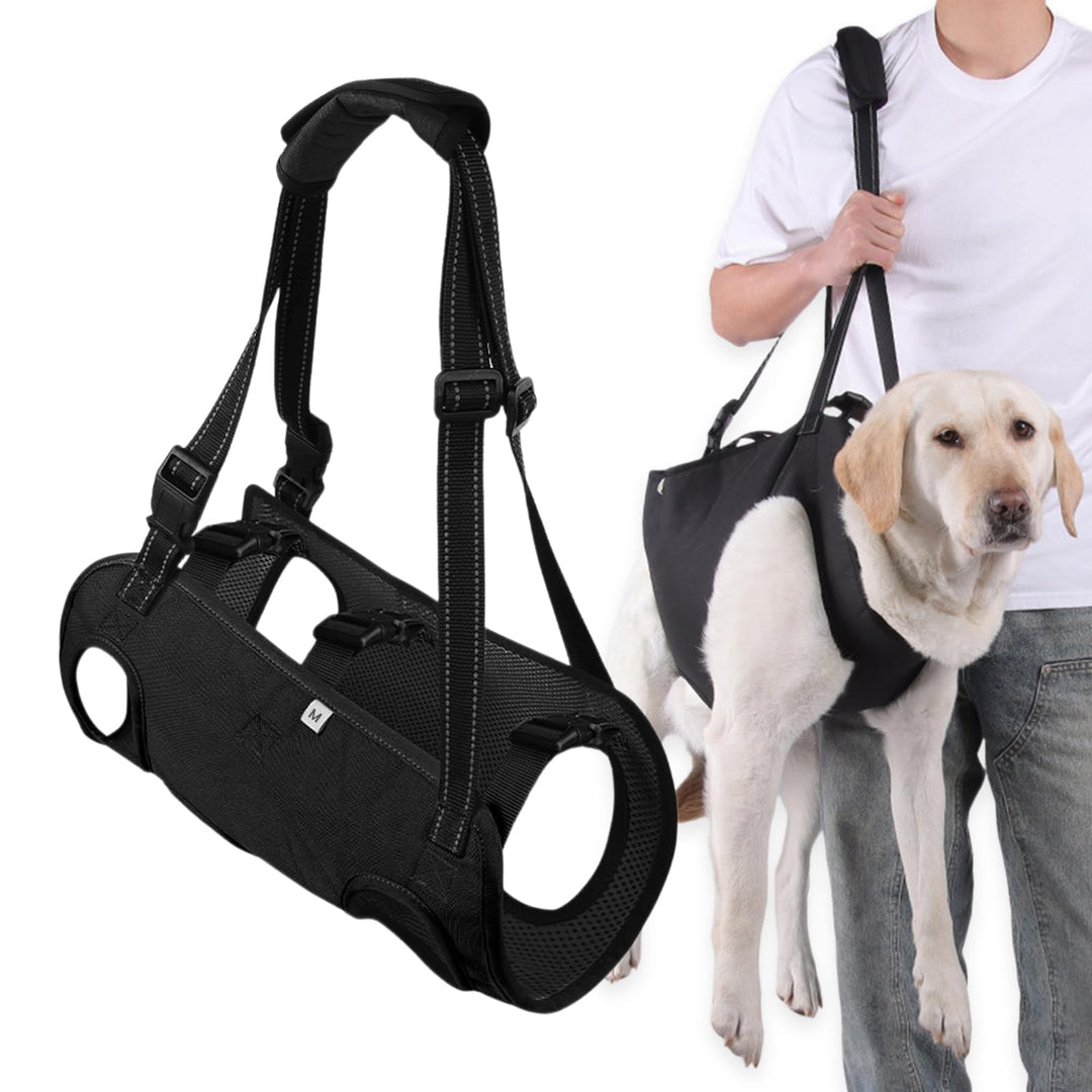 Hunde Tragehilfe, Tragehilfe Hund Treppe Verstellbare Gehhilfe für Hundes, Hundeliftgeschirr für Hin
