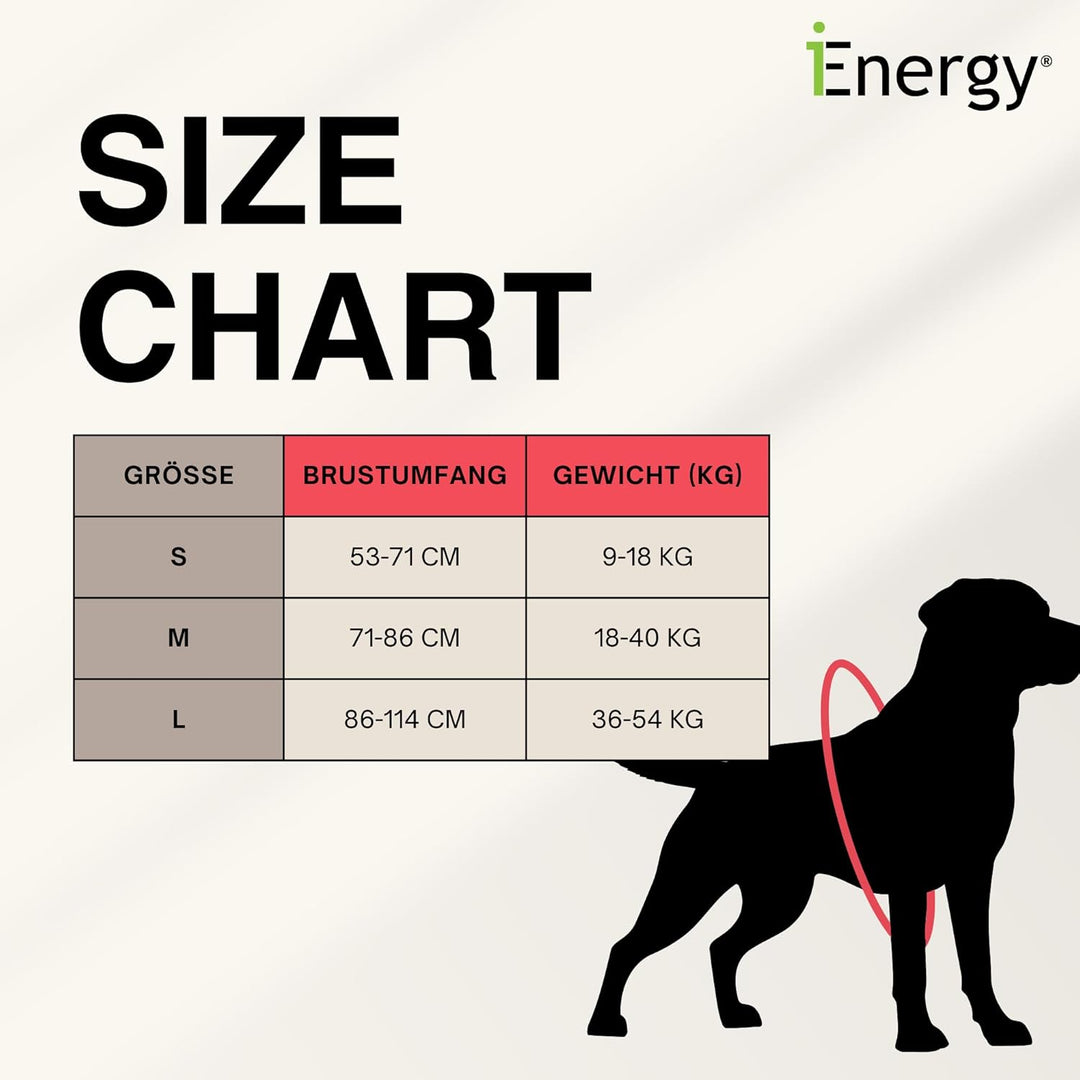 iEnergy™ MAL Hunderucksack - Wetterfester Rucksack für Hunde – Gut gepolsterter Wanderrucksack (Klei