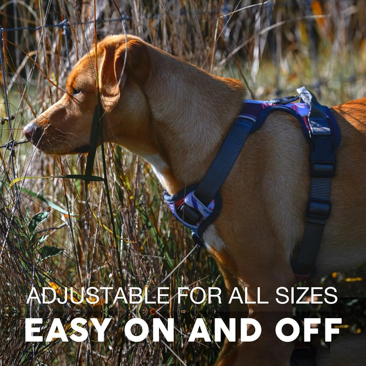 Embark Urban Hundegeschirr, einfach an- und abzulegen, mit Leinenbefestigungen vorn und am Rücken, m