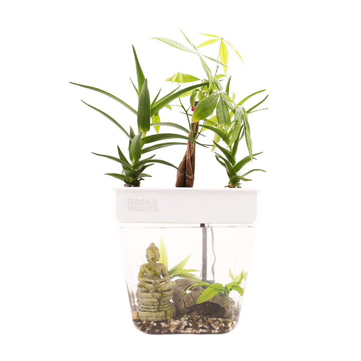 Back to the Roots Hydrokultur-Garten für den Innenbereich, selbstbewässernder, schmutzfreier Übertop