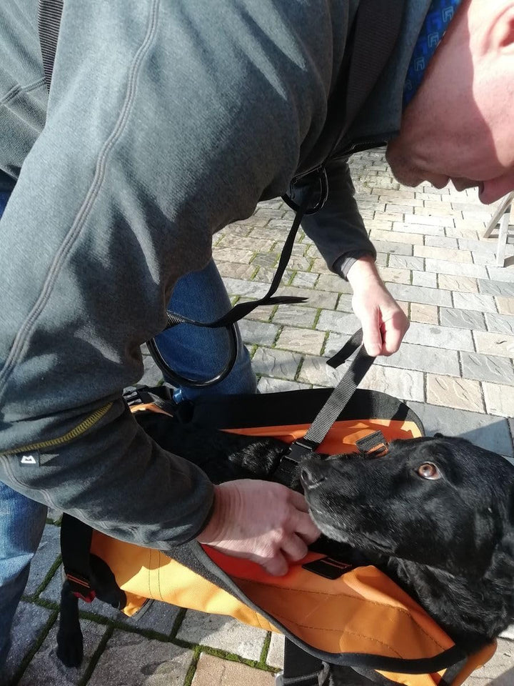 Singing Rock Laika Hundegeschirr orange/schwarz