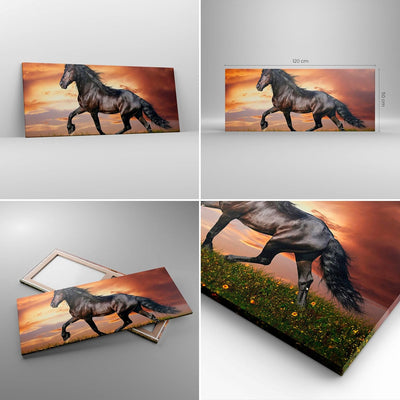 Wandbilder Dekoration Wohnzimmer Pferd Tier Wiese Panorama Bilder auf Leinwand 120x50cm Leinwandbild