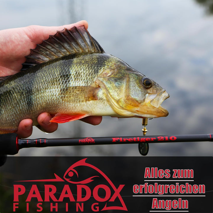 Köderboxen I 5x normale Box 27,5cm*18 * 4,5cm I Angelbox Köderbox Angeln Angelkoffer gross Tackle Bo