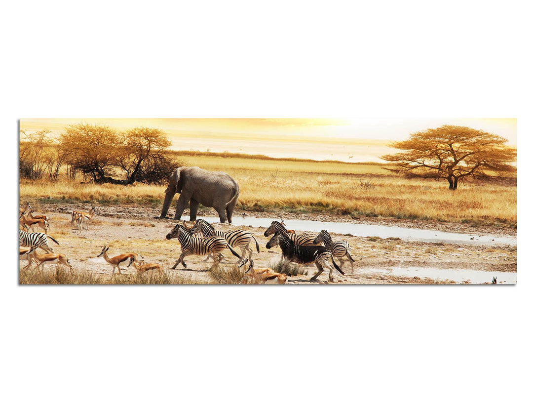 Paul Sinus Art Panoramabild auf Leinwand und Keilrahmen 120x40cm Afrika Safari Zebras Elefant Landsc