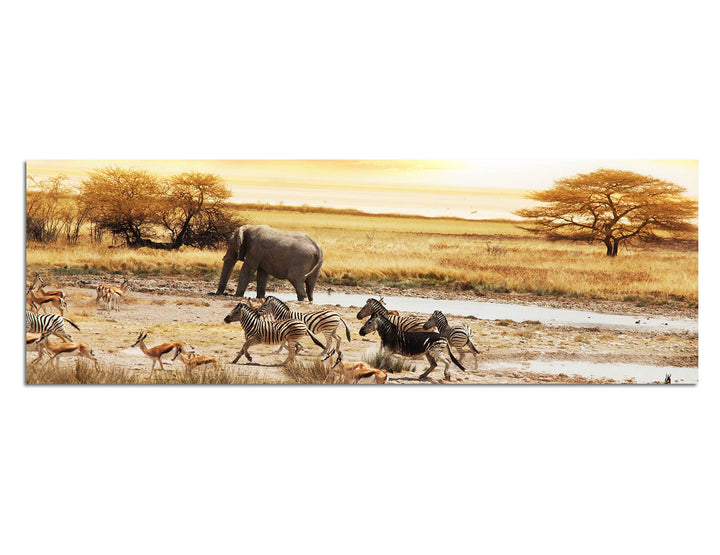 Paul Sinus Art Panoramabild auf Leinwand und Keilrahmen 120x40cm Afrika Safari Zebras Elefant Landsc